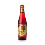 De Halve Maan Brugse Zot Dubbel 330ml