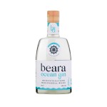 Guinness Nitrosurge Device