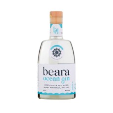 Guinness Nitrosurge Device